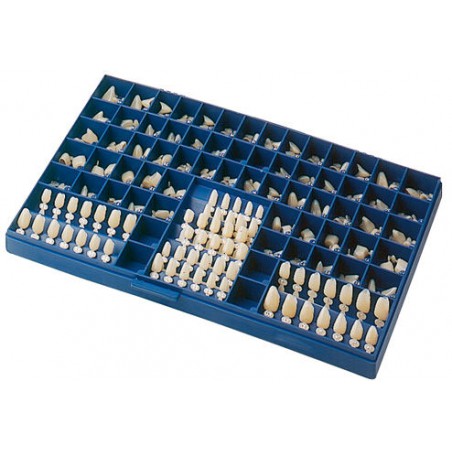 KIT POLYCARBONATE CROWS