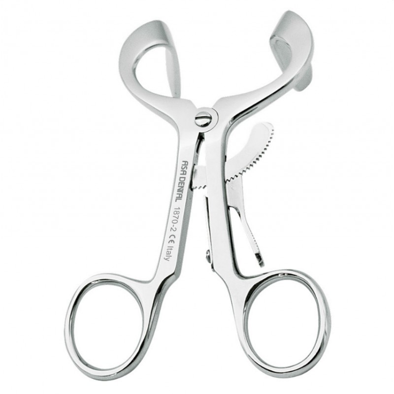 APRIBOCCA MOLT ADULTI