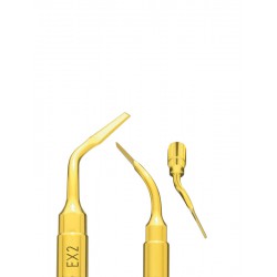 PIEZOSURGERY INSERTO EX2