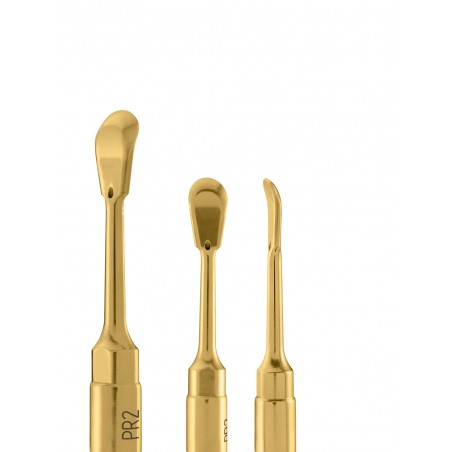 PIEZOSURGERY INSERTO PR2