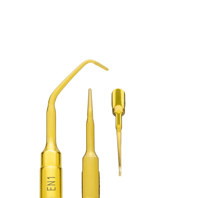 PIEZOSURGERY INSERTO EN1