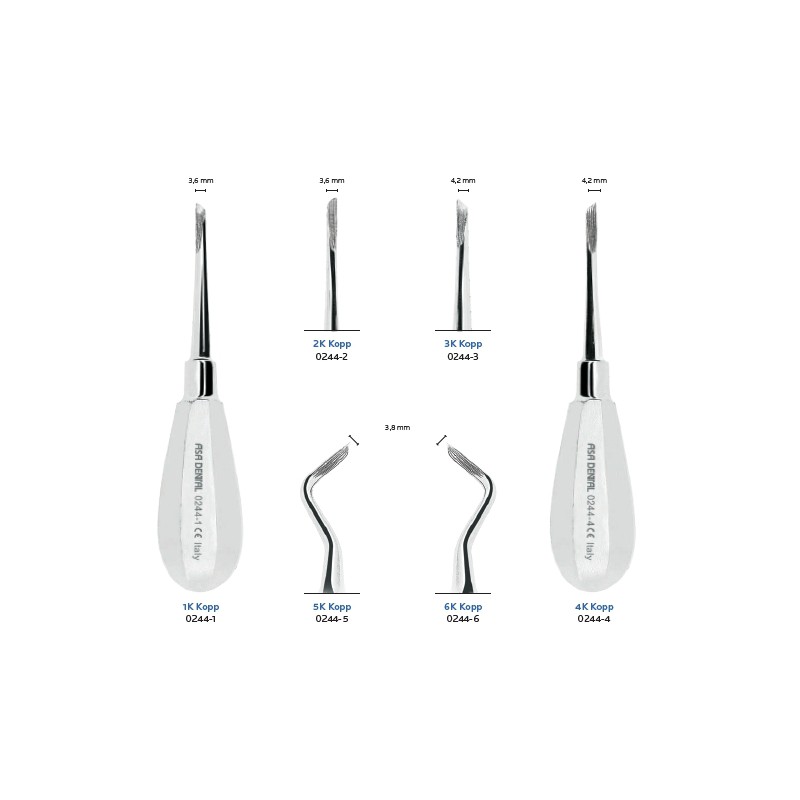 LEVA PER RADICI CON MANICO IN ACCIAIO E PUNTE ELICOIDALI ASA