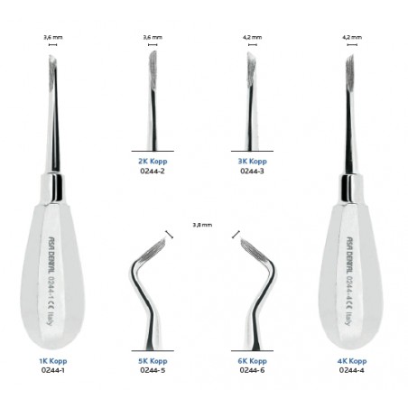 LEVA PER RADICI CON MANICO IN ACCIAIO E PUNTE ELICOIDALI ASA