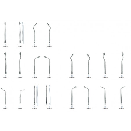 PUNTA SINDESMOTOMO 0296