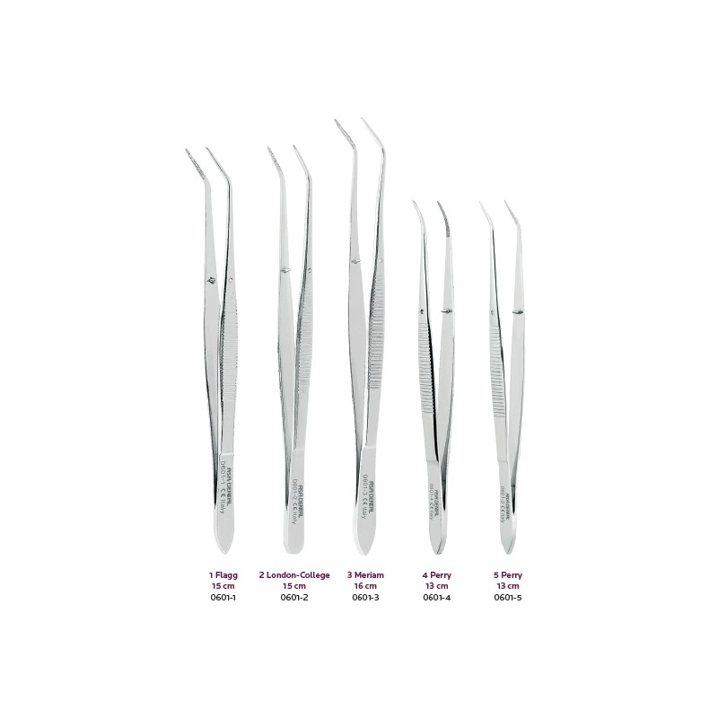 PINZETTA FLAGG, LONDON COLLEGE, MERIAM E PERRY 0601 ASA