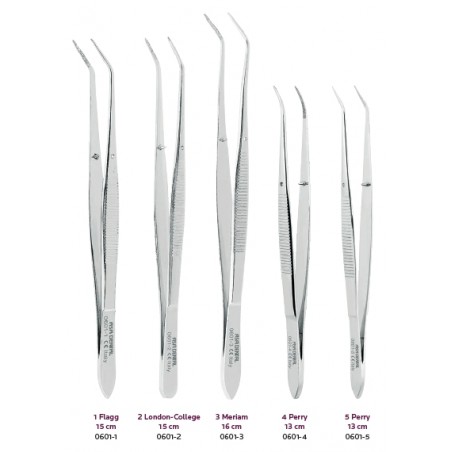 PINZETTA FLAGG, LONDON COLLEGE, MERIAM E PERRY 0601 ASA