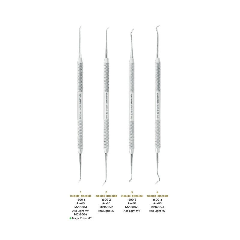 CLEOIDE DISCOIDE ASA