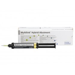 MULTILINK HYBRID ABUTMENT HO