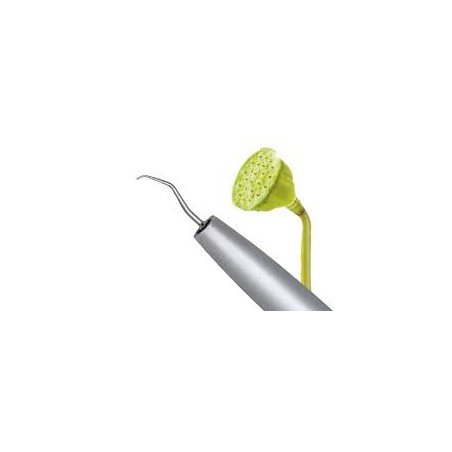 PROXEO PER MULTIFLEX - CON LUCE