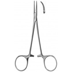 PINZETTA HALSTEAD-MOSQUITO