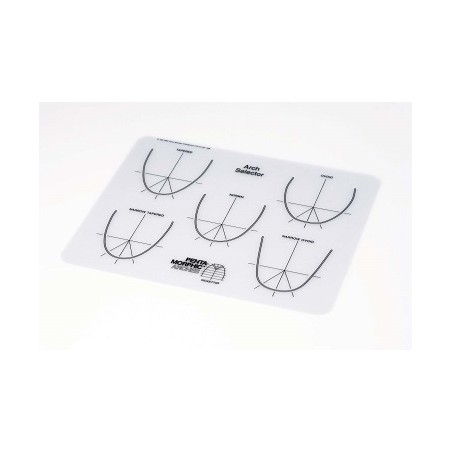 SELETTORE ARCHI PENTAMORFICI