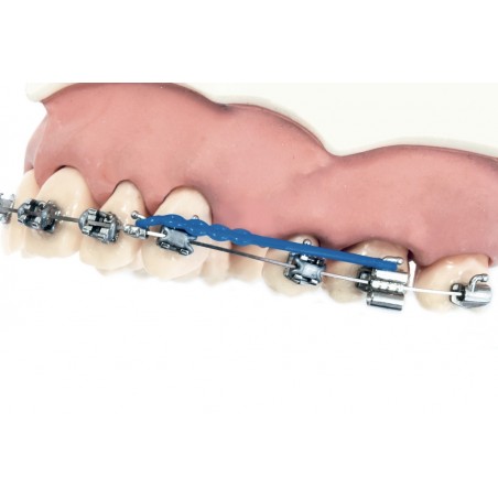 ARCHI BIDIMENSIONALI BETA MEMORIA