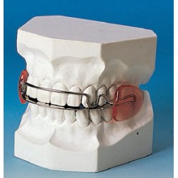 BITE ANATOMICO DOPPIO