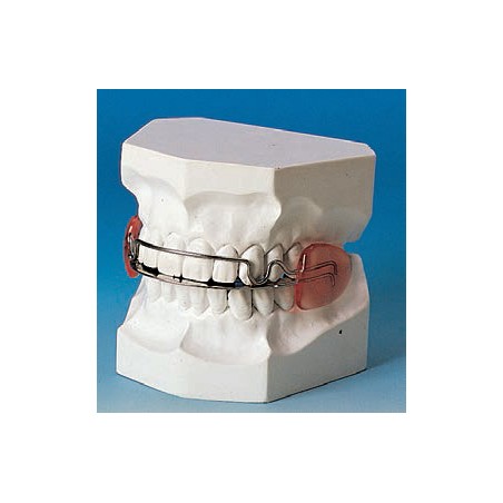 ANATOMICAL BITE DOUBLE