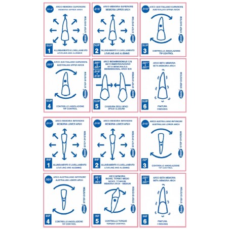 KIT ARCHI STEP SYSTEM