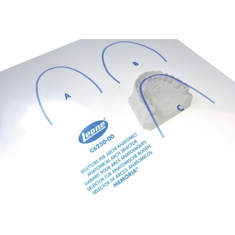 SELETTORE per ARCHI MEMORIA