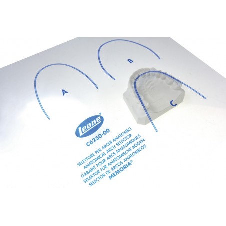 SELETTORE per ARCHES MEMORIA