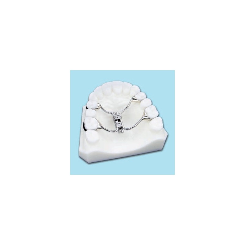 MULTIFUNCTIONAL SCREW