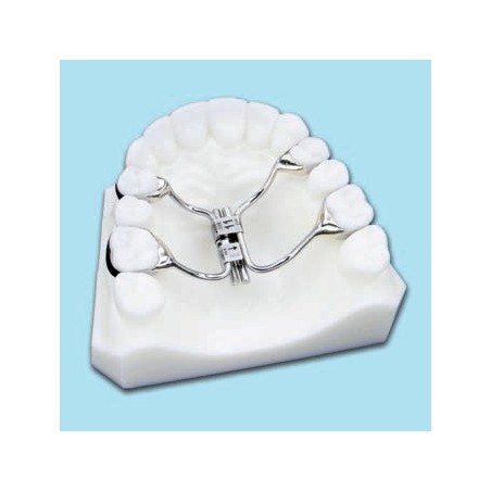 MULTIFUNCTIONAL SCREW