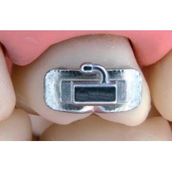 BASI ANATOMICHE D.B.