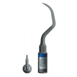 INSERTO PERIOSOFT PH1