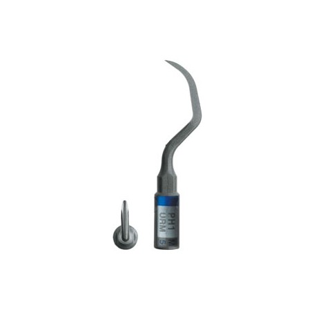 INSERTO PERIOSOFT PH1