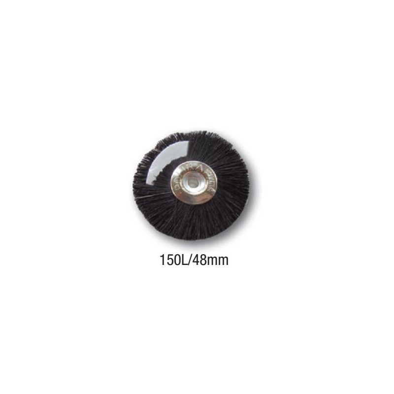 SPAZZOLE PER PULITRICI