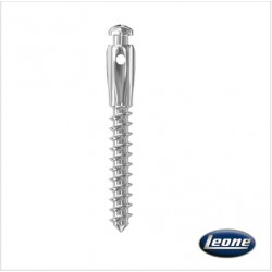 MINI IMPIANTO ORTODONTICO CON SCANALATURA