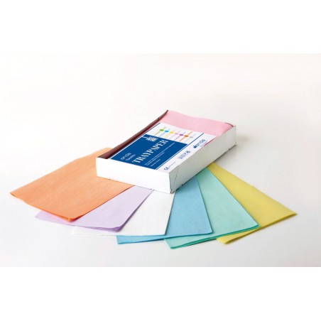 TRAY PAPER COLORATI