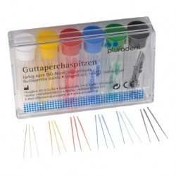 GUTTAPERCA ORBIS PLULINE