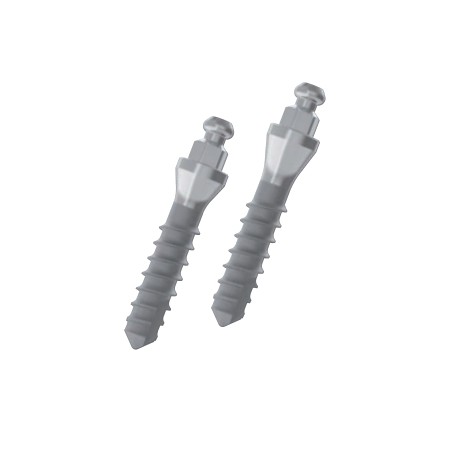 MONOIMPIANTO OVERDENTURE LEONE