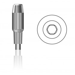 MONCONE CILINDRICO LEONE