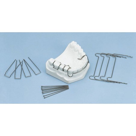 ARCHI LABIALI STANDARD