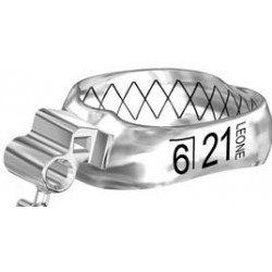 BANDE WEB CON TUBO PRIMO MOLARE INFERIORI SINISTRE LL