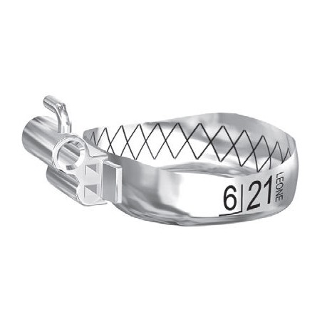 BANDE WEB CON TUBO PRIMO MOLARE SUPERIORI SINISTRE UL