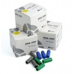 ANA 2000